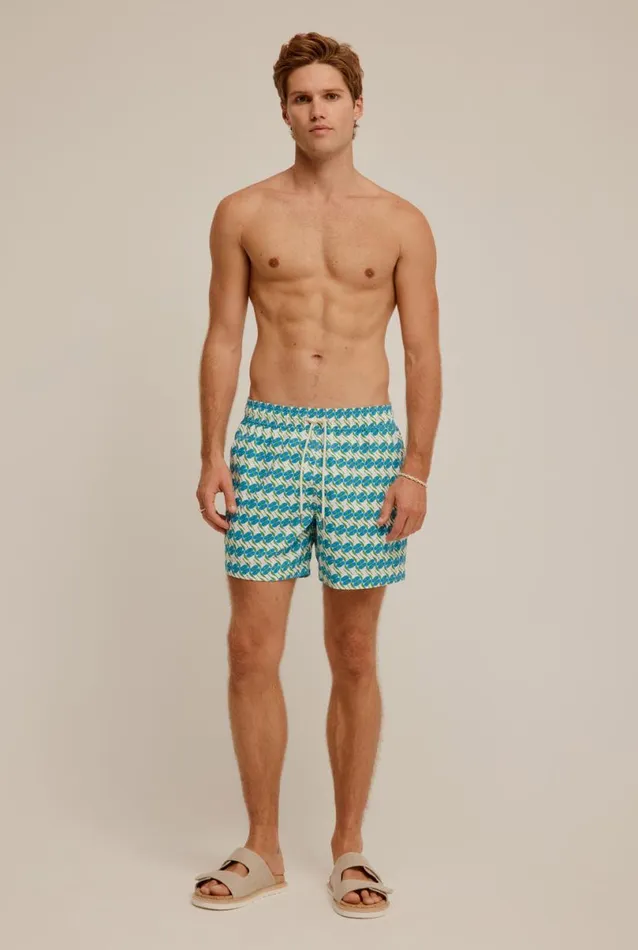 Man Venroy Swim Shorts Printed Swim Short