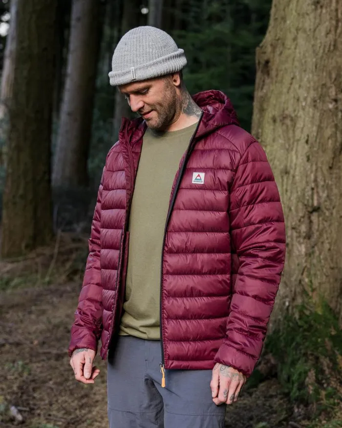 Passenger Clothing Roamer Recycled 20 Insulated Jacket Wine Men Jackets