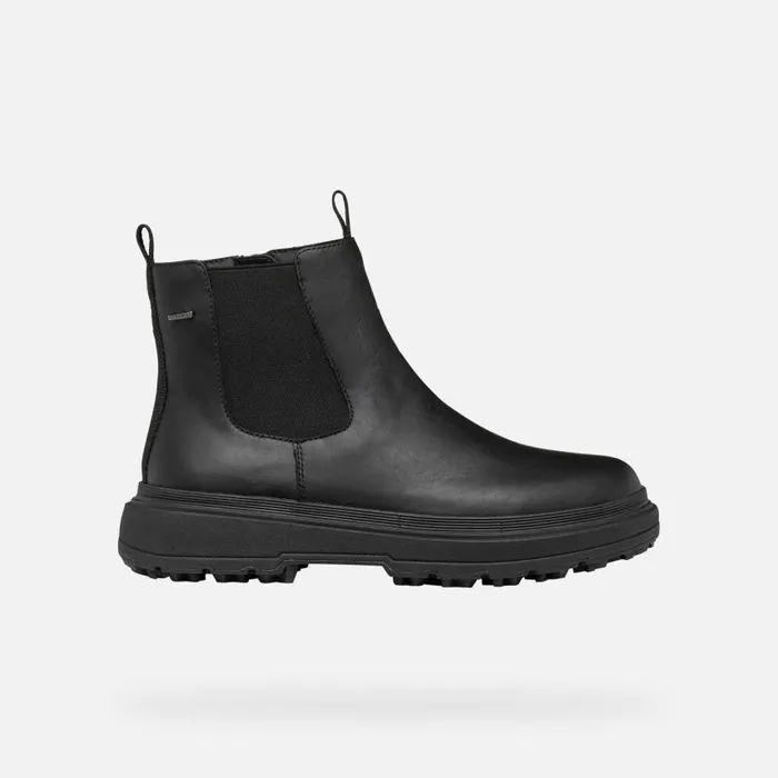 Woman Geox Ankle Boots LAMIDIE GRIP ABX WOMAN Black Waterproof Ankle Boots Black