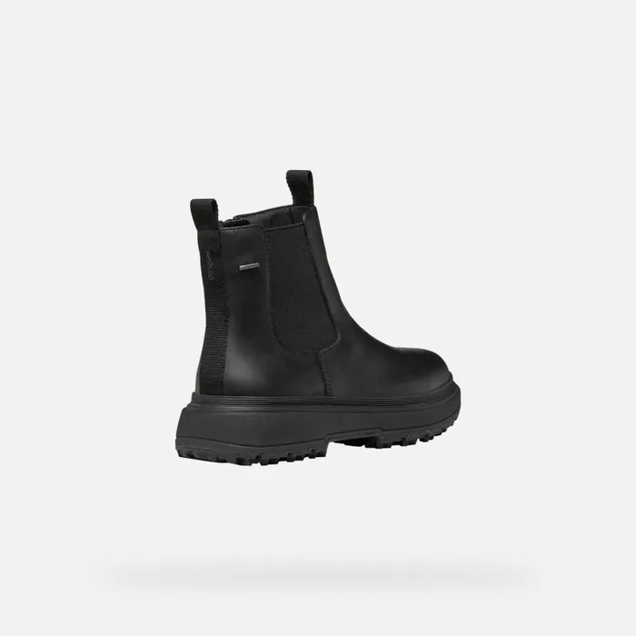 Woman Geox Ankle Boots LAMIDIE GRIP ABX WOMAN Black Waterproof Ankle Boots Black