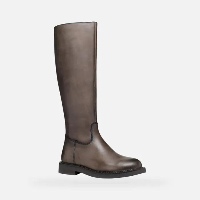 Woman Geox Boots SERILDA WOMAN Taupe Leather Boots Taupe