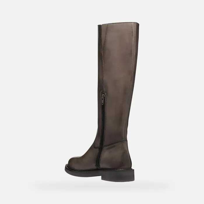 Woman Geox Boots SERILDA WOMAN Taupe Leather Boots Taupe