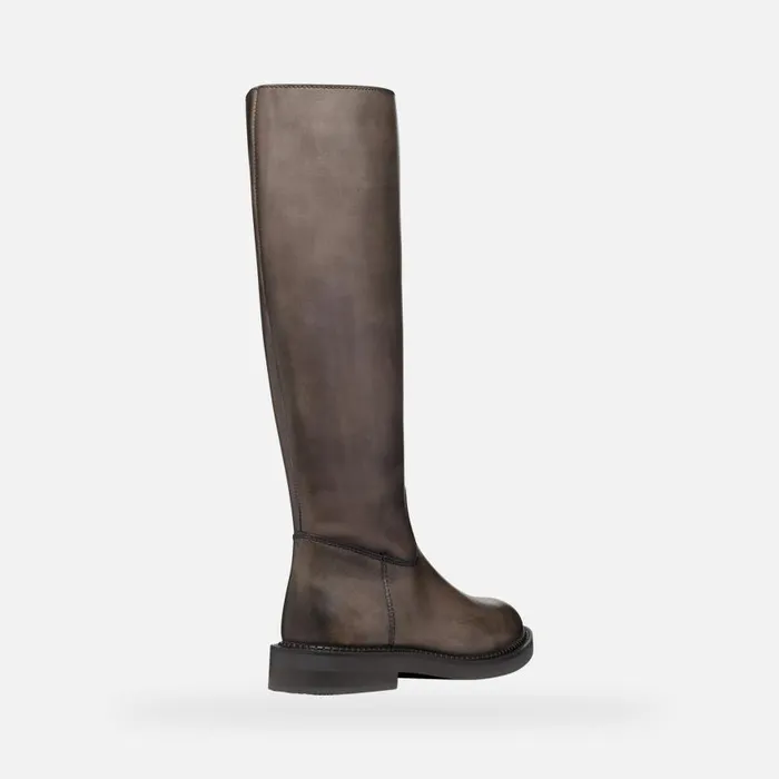 Woman Geox Boots SERILDA WOMAN Taupe Leather Boots Taupe