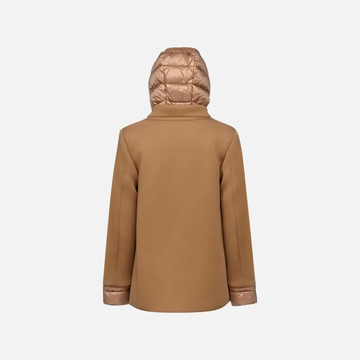 Woman Geox Jackets CRISTAEL WOMAN Tiger039s Eye Jacket With Hood Tiger039s Eye