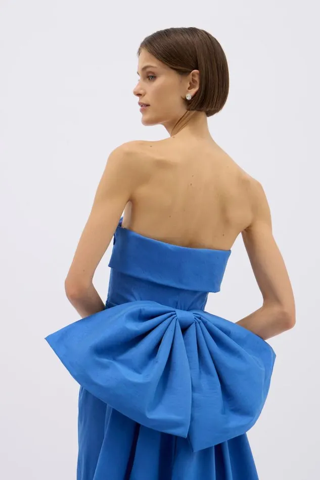 Women Evening Dresses Rachel Gilbert BIRDIE GOWN