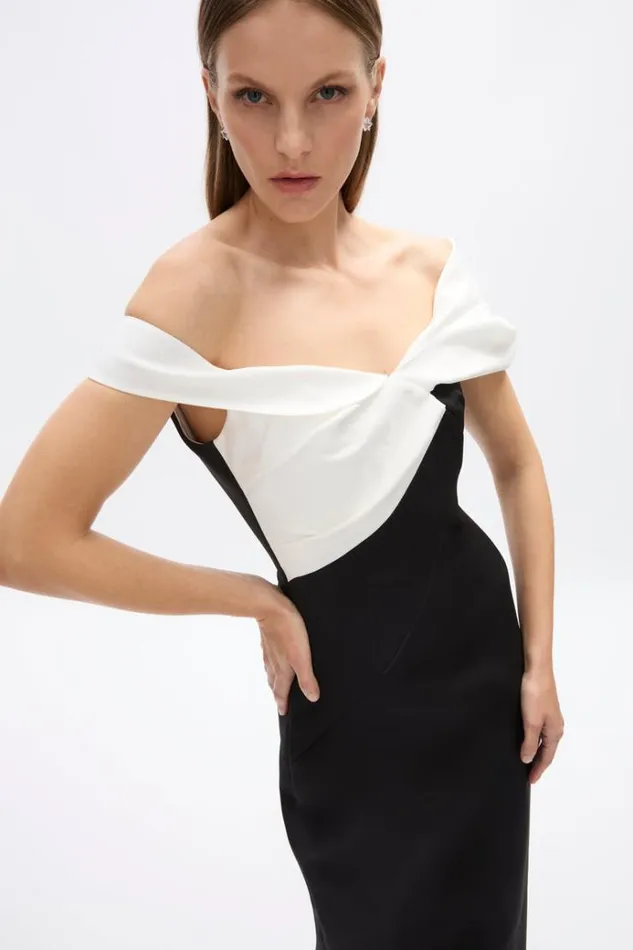 Women Maxi Dresses Rachel Gilbert Delila Gown BlackWhite Women Maxi Dresses Rachel Gilbert Delila Gown BlackWhite