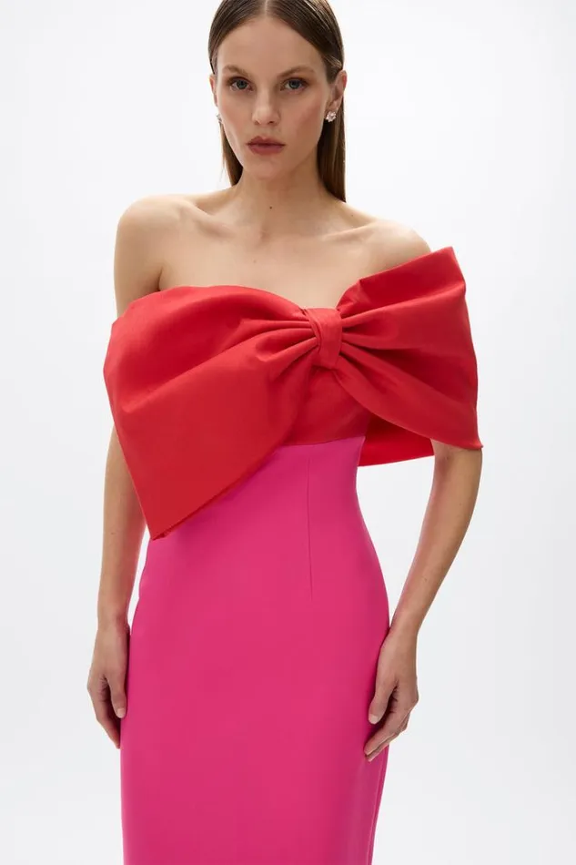 Women Maxi Dresses Rachel Gilbert Kace Gown Hot PinkRed Women Maxi Dresses Rachel Gilbert Kace Gown Hot PinkRed