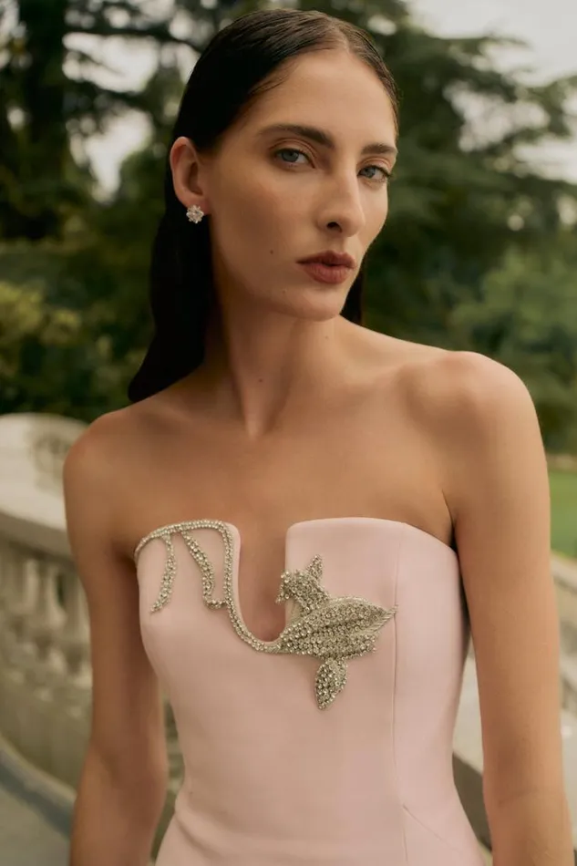 Women Maxi Dresses Rachel Gilbert Leura Gown Rosewater