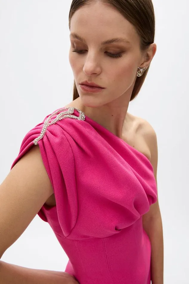 Women Maxi Dresses Rachel Gilbert Winona Gown Hot Pink Women Maxi Dresses Rachel Gilbert Winona Gown Hot Pink