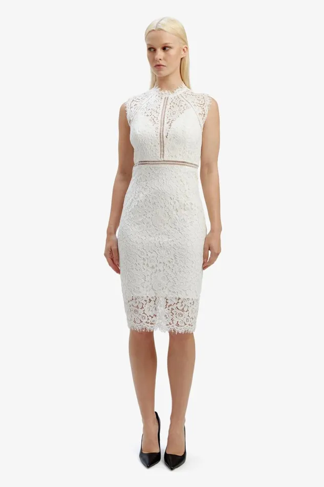 Women Occasion Dresses Bardot Lace Panel Dress In Orchid White Orchid White
