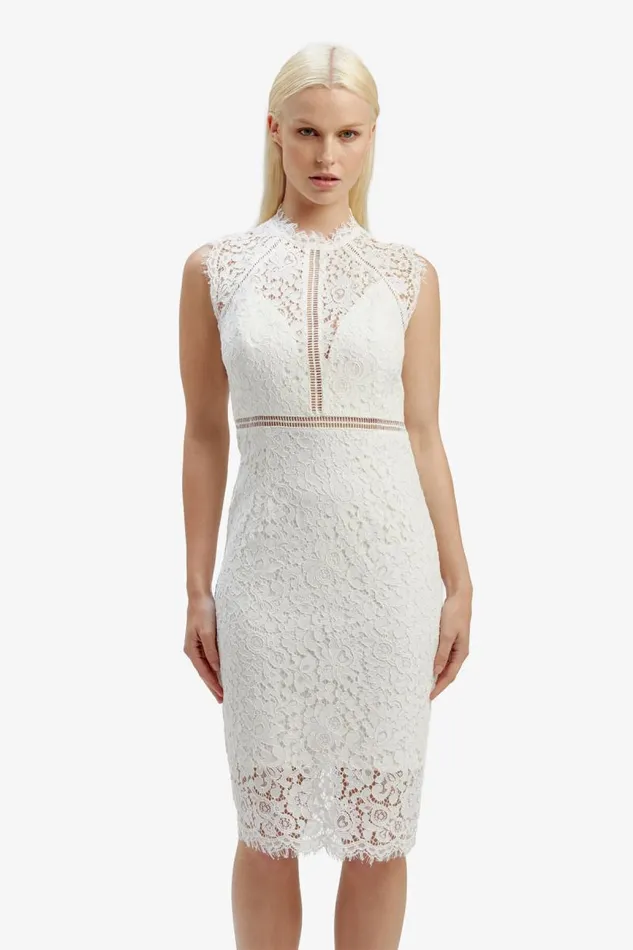 Women Occasion Dresses Bardot Lace Panel Dress In Orchid White Orchid White Women Occasion Dresses Bardot Lace Panel Dress In Orchid White Orchid White