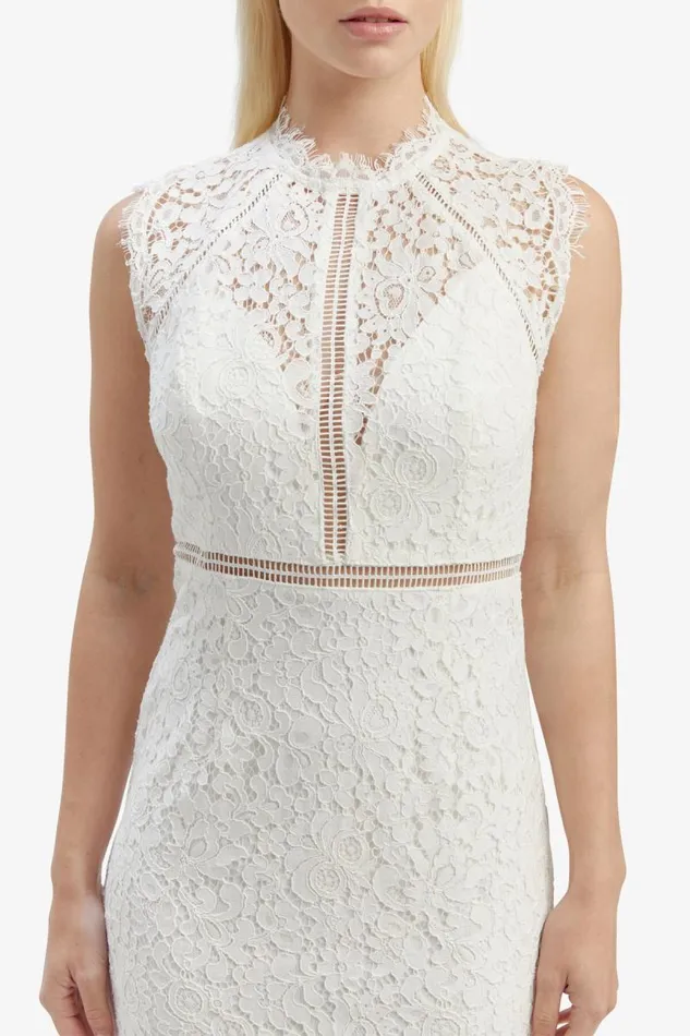 Women Occasion Dresses Bardot Lace Panel Dress In Orchid White Orchid White Women Occasion Dresses Bardot Lace Panel Dress In Orchid White Orchid White