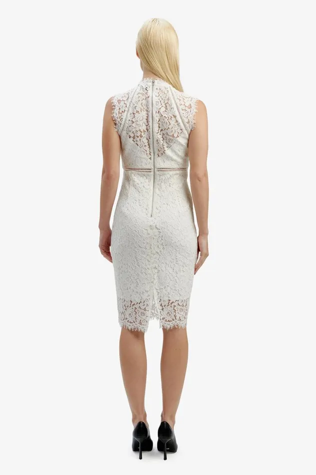 Women Occasion Dresses Bardot Lace Panel Dress In Orchid White Orchid White Women Occasion Dresses Bardot Lace Panel Dress In Orchid White Orchid White