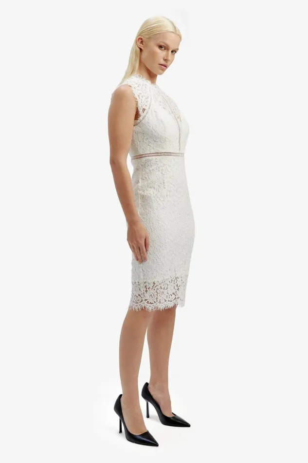 Women Occasion Dresses Bardot Lace Panel Dress In Orchid White Orchid White Women Occasion Dresses Bardot Lace Panel Dress In Orchid White Orchid White